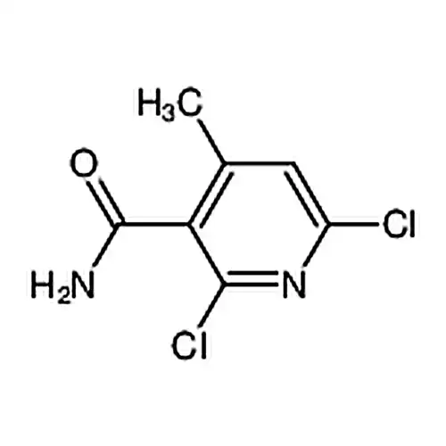2,6-氯-4-甲基烟酰胺