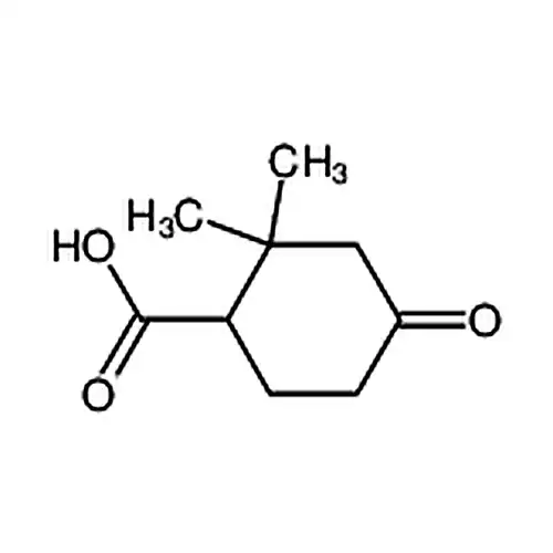 2,2-二甲基-4-羟基环己酸
