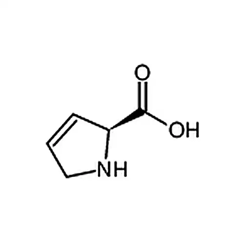 3,4-脱氢-L-脯氨酸