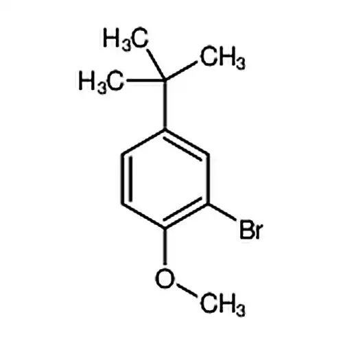 2-溴-4-叔丁基 1-甲氧基苯