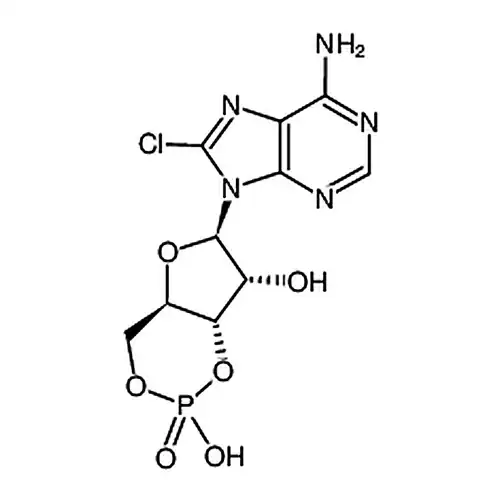 8-氯腺苷-3'，5'-环状磷酸钠盐
