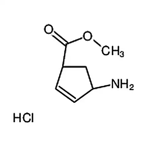 (1R，4S)-4-氨基环戊-2-烯-1-羧酸甲酯盐酸盐