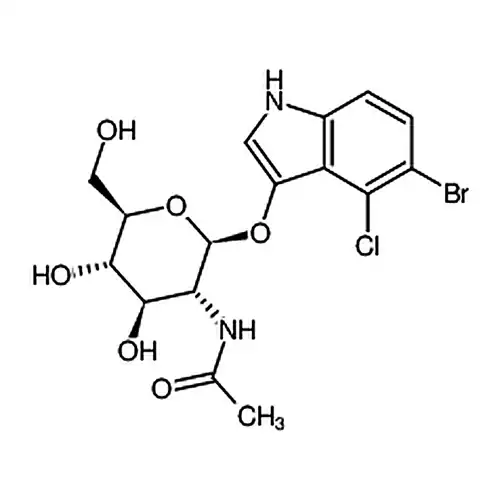 5-溴-4-氯-3-吲哚基-N-乙酰-β-D-氨基葡萄糖苷