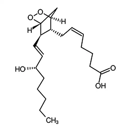 前列腺素H2