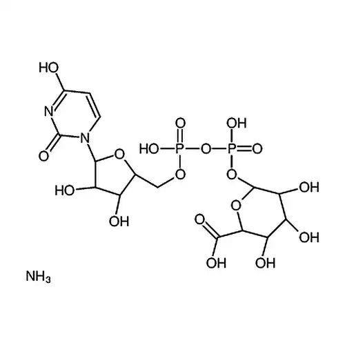 尿苷-5′-二磷酸葡糖醛酸 铵盐