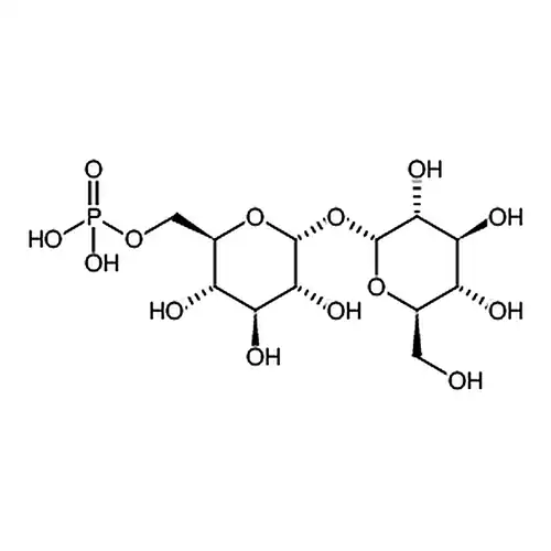 ((2R,3S,4S,5R,6R)-3,4,5-三羟基-6-(((2R,3R,4S,5S,6R)-3,4,5-三羟基-6-(羟甲基)四氢-2H-吡喃-2-基)氧基)四氢-2H-吡喃-2-基)甲基磷酸酯