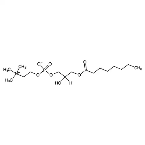 1-octanoyl-2-hydroxy-sn-glycero-3-phosphocholine
