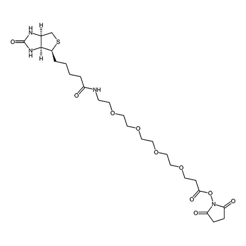 15-BiotinlaMino-4,7,10,13-dioxanonanoic acid N-hydroxysucciniMidyl ester