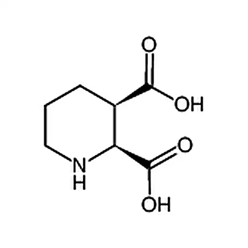 哌啶-2，3-二羧酸