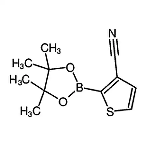2-(4，4，5，5-Tetramethyl-1，3，2-dioxaborolan-2-yl)thiophene-3-carbonitrile