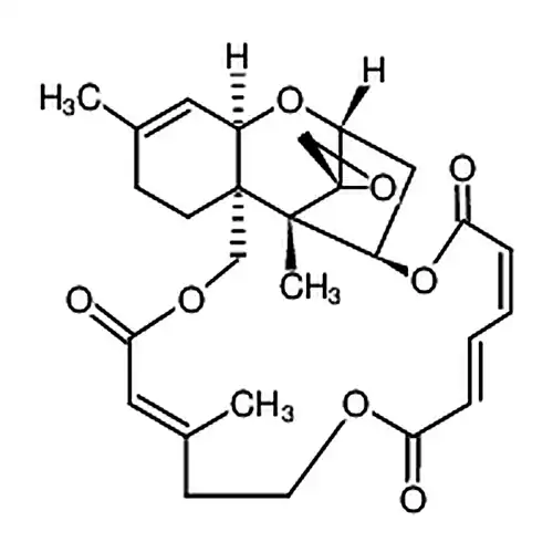 Verrucarin J
