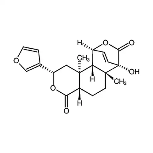 异古伦宾