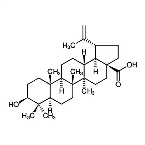 白桦脂酸