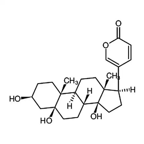 远华蟾蜍精