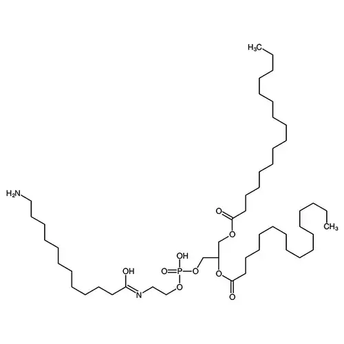 1,2-dipalmitoyl-sn-glycero-3-phosphoethanolamine-N-(dodecanylamine)