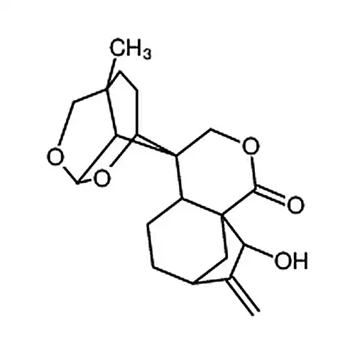 黄花香茶菜素K