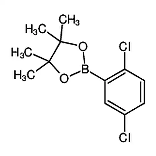 2，5-二氯苯硼酸频呢醇酯