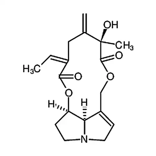千里光菲灵碱