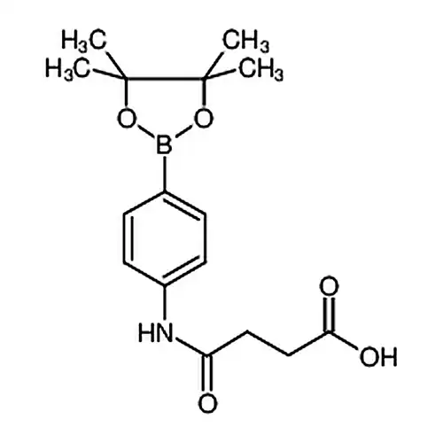 N-[4-(4，4，5，5-四甲基-1，3，2-二氧杂硼烷-2-基)苯基]琥珀酰胺酸