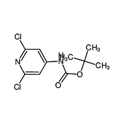 N-Boc-4-氨基-2，6-二氯吡啶