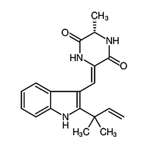 新海胆灵A