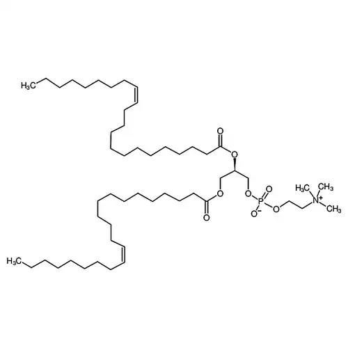 1,2-dierucoyl-sn-glycero-3-phosphocholine