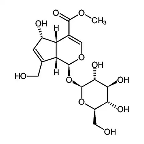 去乙酰基车叶草苷酸甲酯