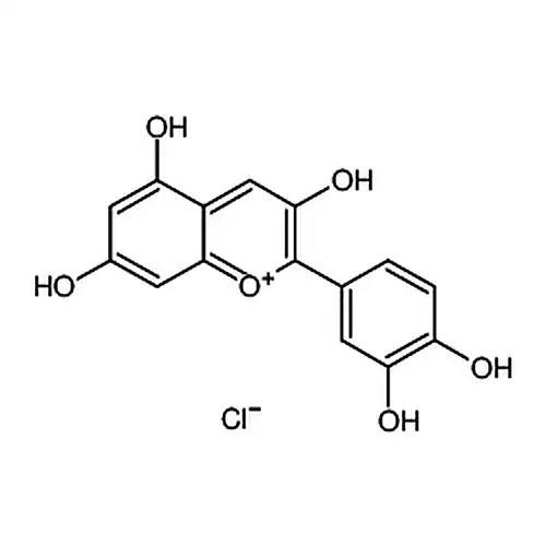 氯化矢车菊素