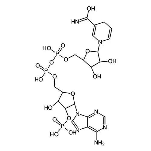 还原型辅酶II(NADPH)四钠盐