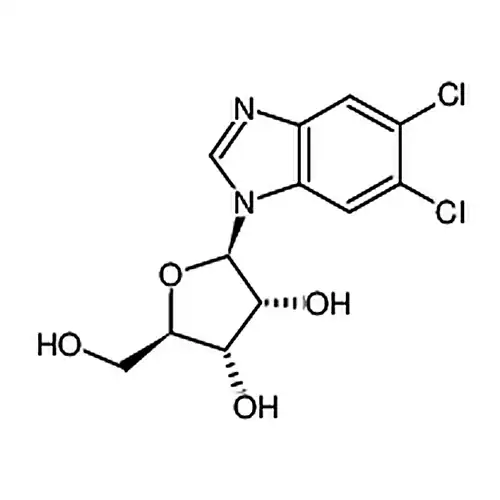 5,6-二氯苯并咪唑1-β-D-次黄嘌呤