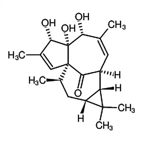 20-去氧巨大戟醇