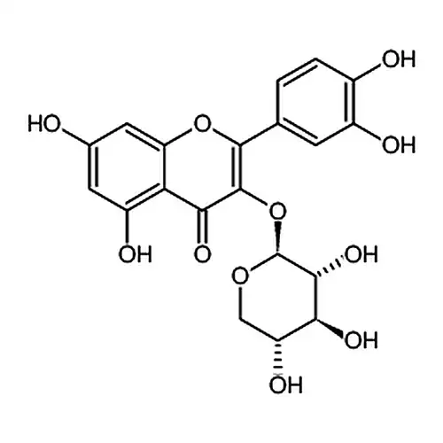 槲皮素-3-D-木糖甙