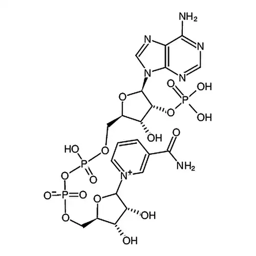烟酸腺嘌呤二核苷酸磷酸 钠盐