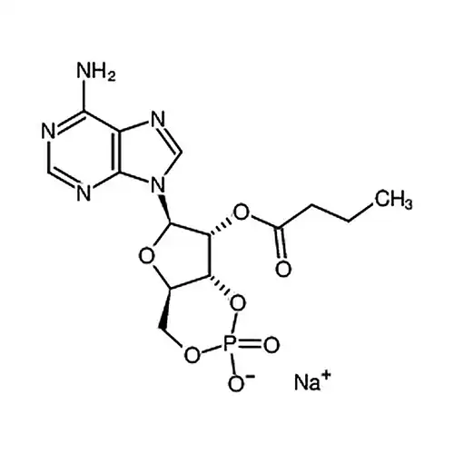 2'-O-MB-cAMP sodium