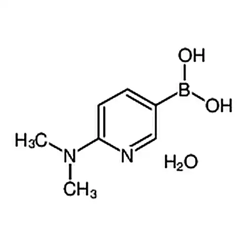 2-(二甲基氨基)吡啶-5-硼酸