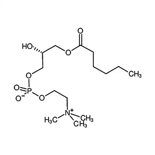 1-己酰基-2-羟基-sn-甘油-3-磷酸胆碱