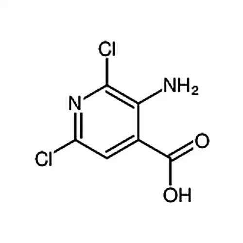 3-氨基-2,6-二氯异烟酸
