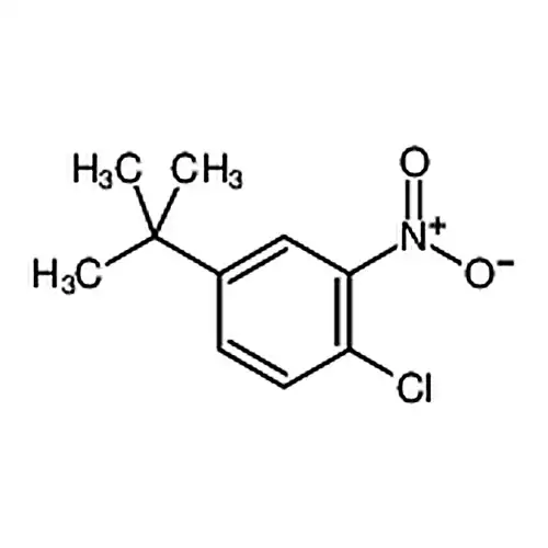 4-氯-3-硝基叔丁基苯