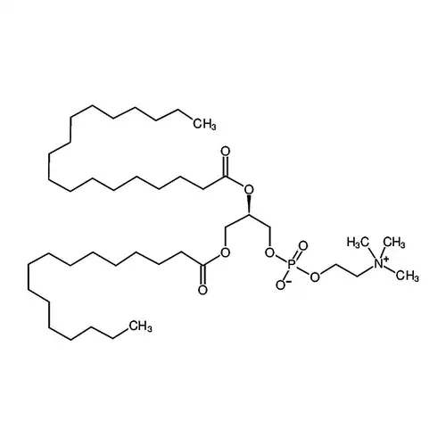 1-棕榈酰基-2-硬脂酰基-sn-甘油-3-磷酸胆碱