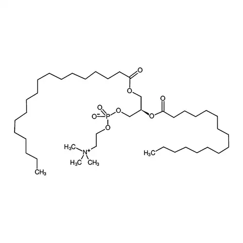1-棕榈酰基-2-硬脂酰基-sn-甘油-3-磷酸胆碱
