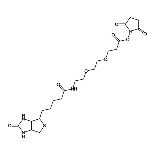 9-(生物素氨基)-4,7-二氧杂壬酸N-琥珀酰亚胺酯