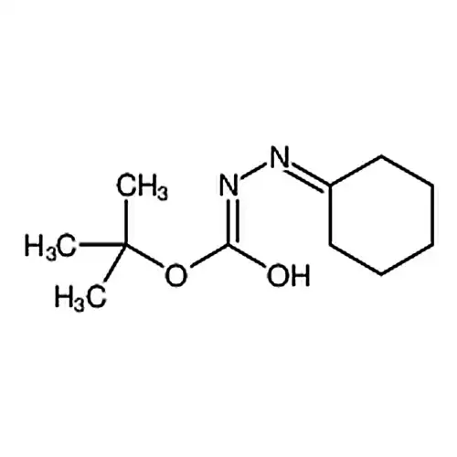 2-亚环己基肼羧酸叔丁酯