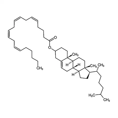 Cholesteryl Arachidonate