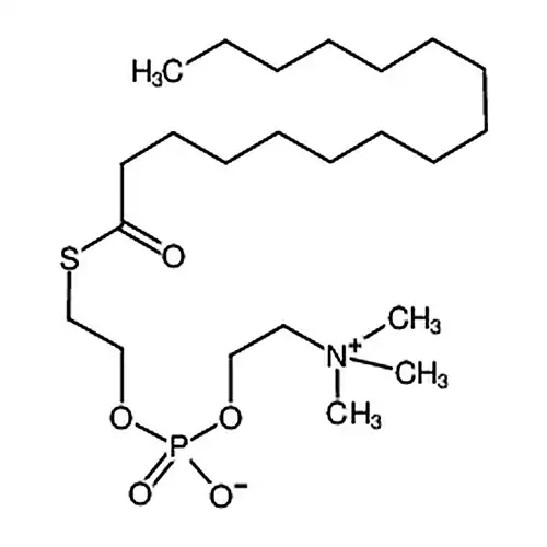 HEPC