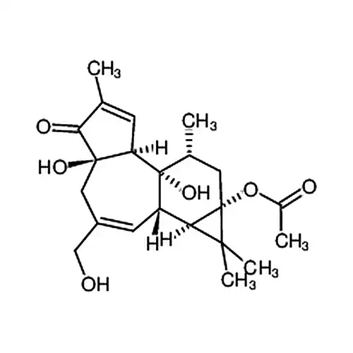 12-脱氧佛波醇-13-乙酸