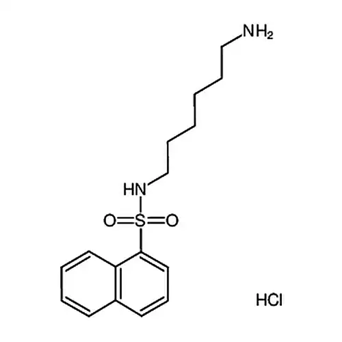 N-(6-氨基己基)-1-萘磺酰胺盐酸盐