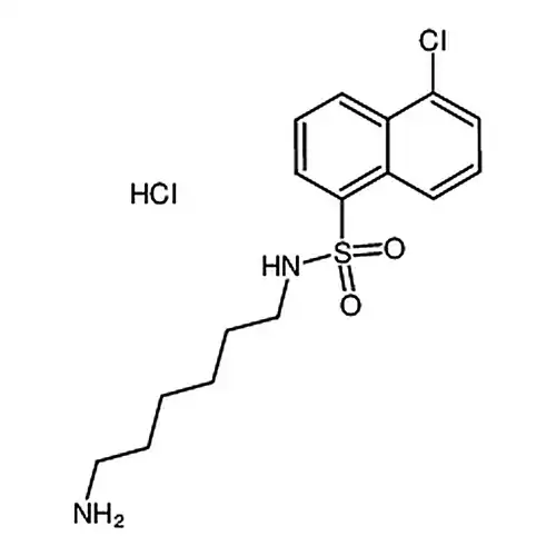 N-(6-氨基己基)-5-氯-1-萘磺酰胺盐酸盐