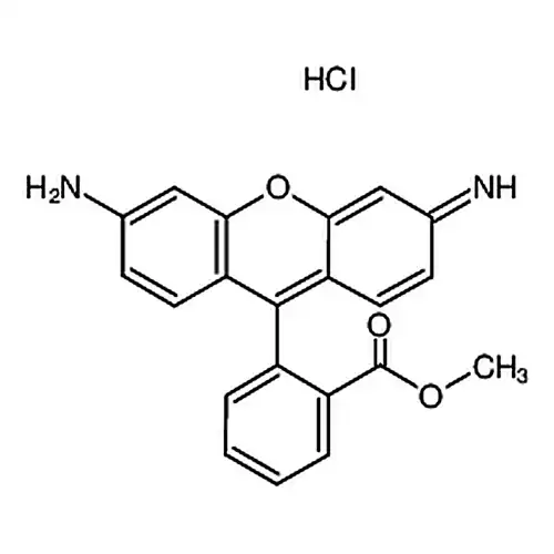 罗丹明123