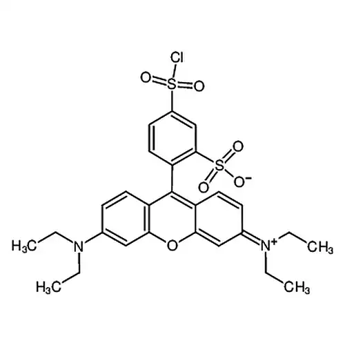 丽丝胺碱性蕊香红B磺酰氯