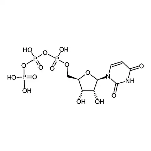 尿苷-5'-三磷酸